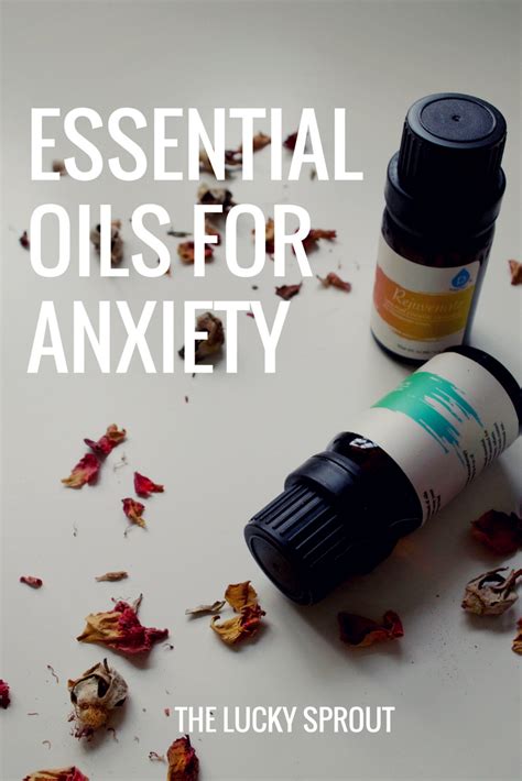 essential oils for anxiety aromatherapy the lucky sprout