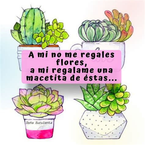 Una macetita de éstas Tipos de plantas suculentas Frases de cactus