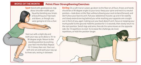 Strengthen Your Pelvic Floor Muscles University Health News