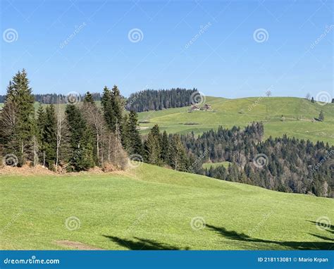 Subalpine Meadows And Livestock Pastures On The Slopes Of The Swiss