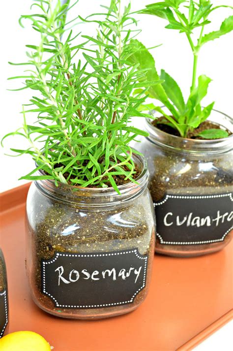 Diy Indoor Herb Garden Easy Fun Way To Grow Fresh Herbs Indoor