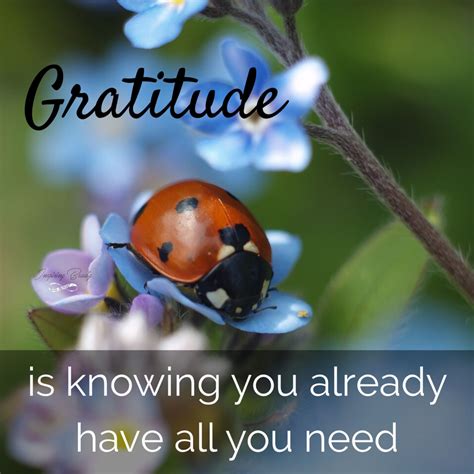 Be Grateful For All The Blessings With Images Grateful Quotes Gratitude Quotes Attitude Of