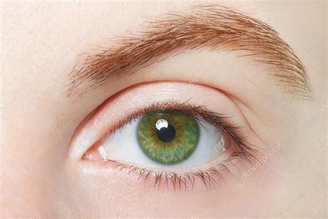 Human Green Healthy Eye Macro — Stock Photo © Andreaa 73968719