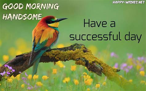 Good Morning Handsome - Quotes & Messages