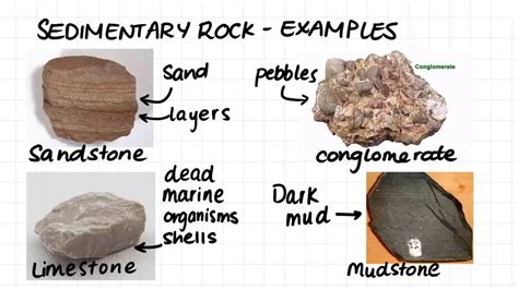 Metamorphic Rock Types