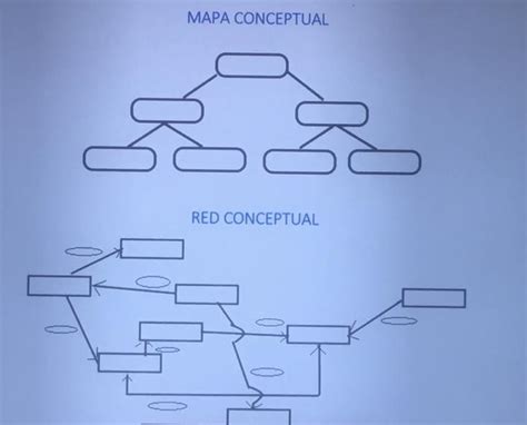 Diferencias Entre Mapa Conceptual Y Red Conceptual Brainly Lat