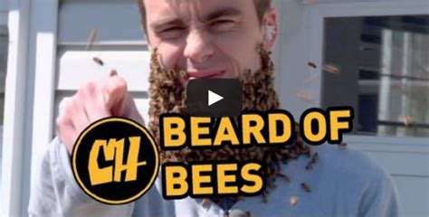 State Apiarist And Ocpe Beekeeping Lecturer Creates “bee Beard” Newsroom