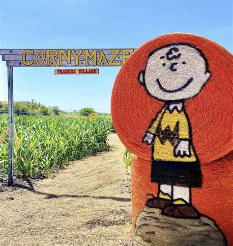 San Antonio Area Corn Mazes And Pumpkin Patches To Explore This Fall 115940 Hot Sex Picture