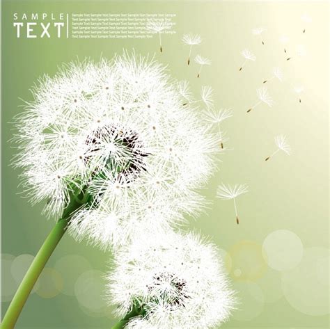 | view 36 dandelion illustration, images and graphics from +50,000 possibilities. Dandelion free vector download (91 Free vector) for ...