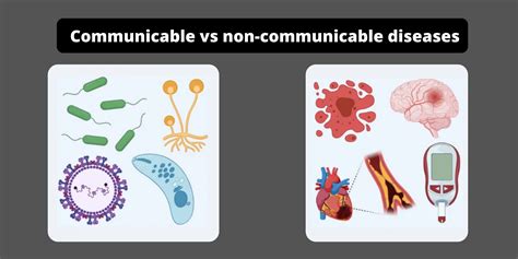 Difference Between Communicable And Non Communicable Diseases