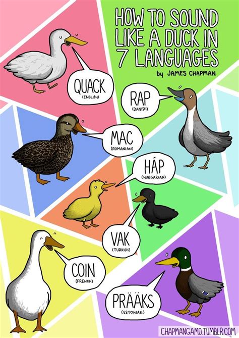 How Animals Sound In Different Languages Around The World Animal