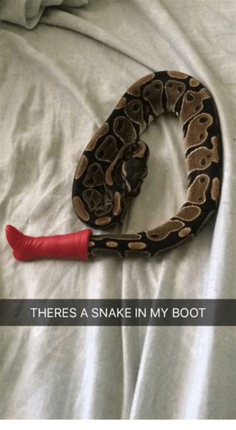 Theres A Snake In My Boot Boots Meme On Sizzle
