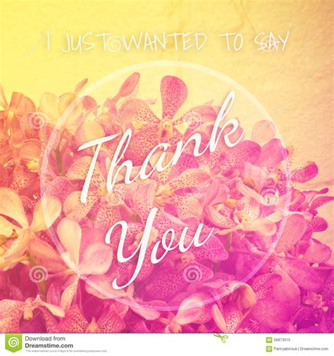 I Just Wanted To Say Thank You Stock Image Image Of Message Frame