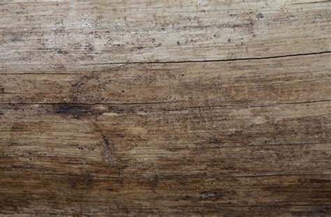 Smooth Wood With Longitudinal Cracks Clippix Etc Educational Photos