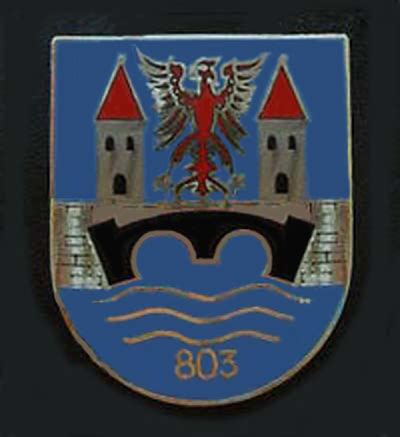 Information / информация panzerpionierbataillon 803 / pzpibtl 803 File:PzPiBtl 803...png - Wikimedia Commons