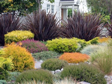 Create A Beautiful Drought Resistant Front Yard