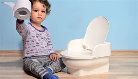 A Step By Step Guide To Potty Training Your Toddler Cyberparent