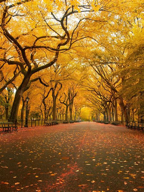 22,323 best sad background free video clip downloads from the videezy community. Awesome Editing Zone: HD Background Images For Editings