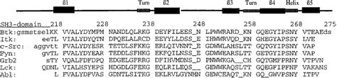 A Sequence Alignment Of Btk Sh3 Domain With The Sh3 Domains From Itk