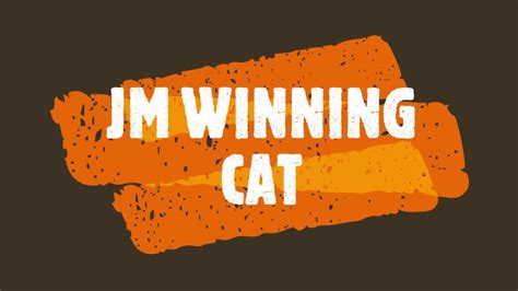 Jm Winning Cat Youtube