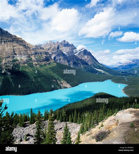 Aquamarine Color Of Glacier Fed Peyto Lake Banff National Park