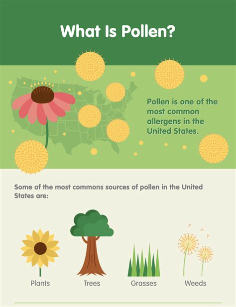 Best Ways To Plan Ahead And Not Allow Allergies To Control Your Life