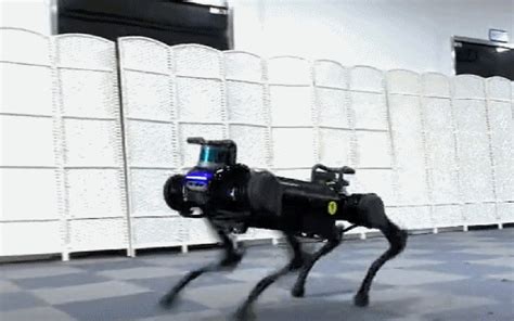 Chinese University Releases Enhanced Robot Dog