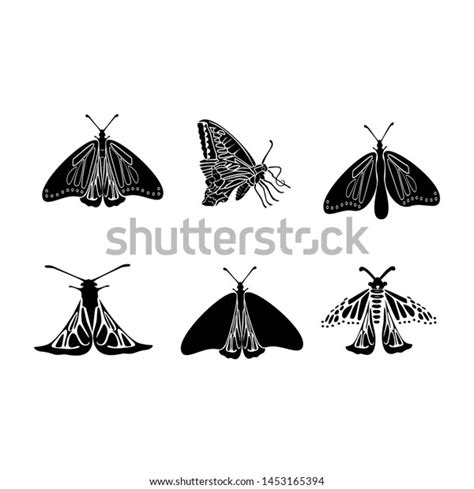 Beautiful Charming Butterfly Vector Image Stock Vector Royalty Free