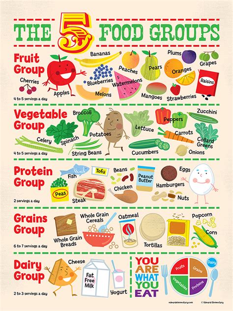 Food Groups Chart Mistery Wiz