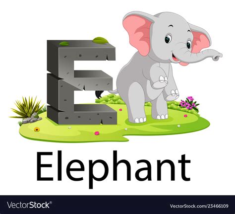 E letter design, alphabet letters design, alphabet images, alphabet and numbers, letter. Zoo animal alphabet e for elephant Royalty Free Vector Image