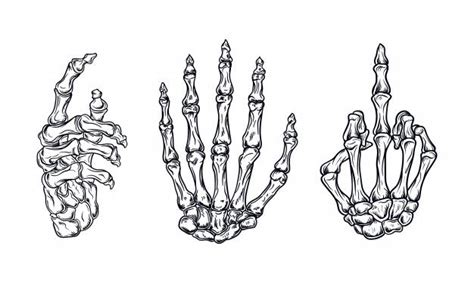 Three Different Types Of Hand Bones In Black And White With One