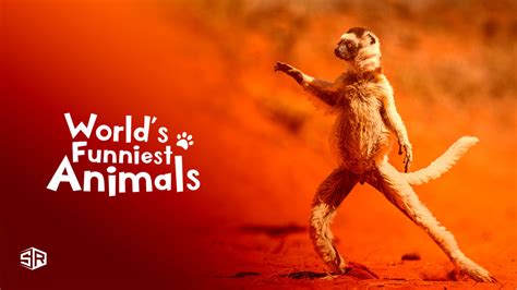 How To Watch Worlds Funniest Animals Season 3 In Canada