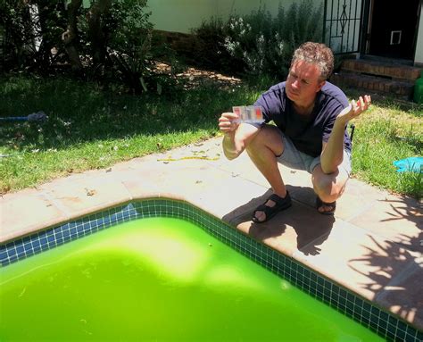 How To Clean A Green Pool Quickly How To Clear Up And Clean A Green Swimming Pool How To Fix