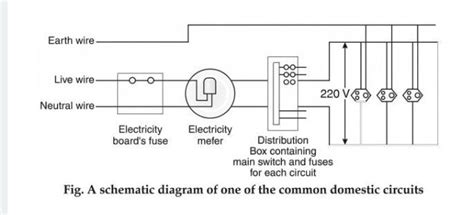 Explain Domestic Electric Circuit With Diagram Class 10 Wiring