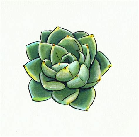 Tutorial showing how to make a simple cactus with spikes using hair particles and simple materials. Пин от пользователя Molly Widing на доске Garden ...