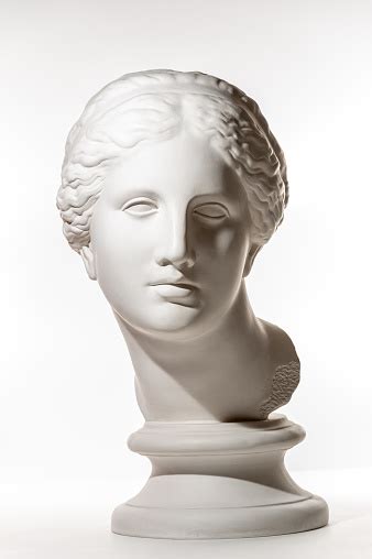 Gypsum Copy Of Ancient Statue Venus Head Isolated On White Background