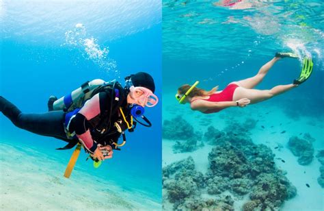Snorkeling Vs Scuba Diving What S The Difference Smacodive