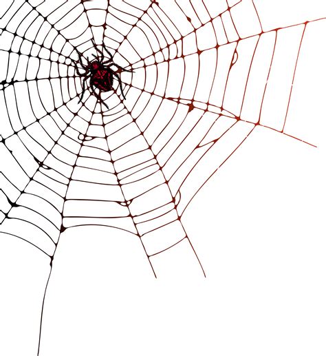 Spider Web Transparent Png 10 Free Cliparts Download Images On