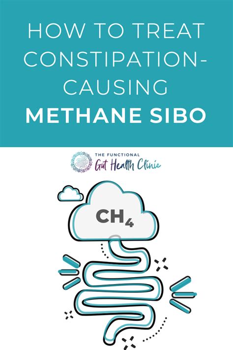 Constipation Methane Sibo Treatment 2024 Guide