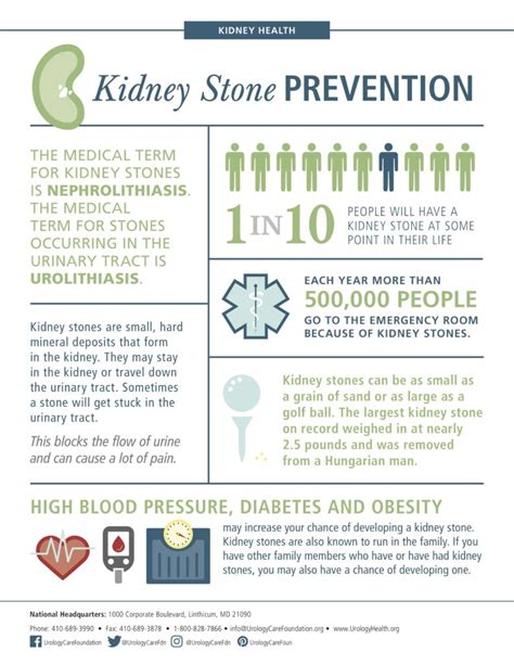 Kidney Stones Cause Symptoms And Treatment Urology Centers Of