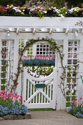 Flower Garden Gate Stock Photo Download Image Now Color Image