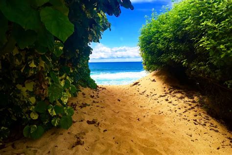 Top Best Nude Beaches In Hawaii Traveling Bares