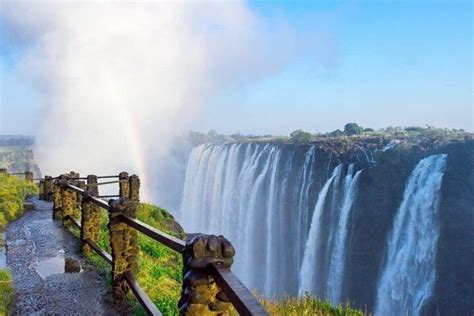 Guided Sightseeing Walking Tour Of Victoria Falls Rainforest