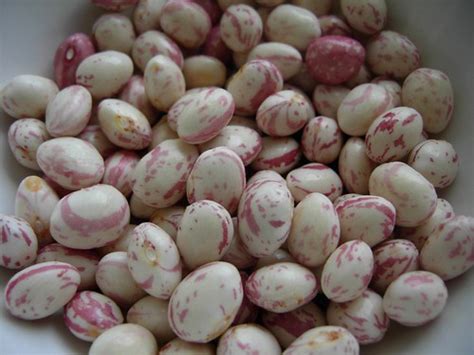 a nameless pink beans for soups food travel recipe and sights