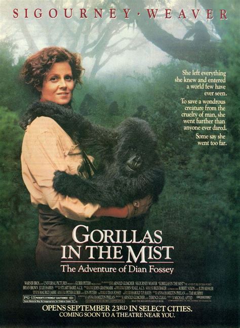 Gorilles Dans La Brume Film Américain De Michael Apted 1988