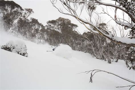 2019 Australian Snow Season Outlook September Update Mountainwatch