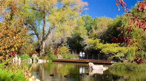 Abq Biopark Botanic Garden In Albuquerque Expedia