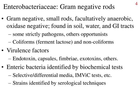 Ppt Gram Negative Rods And Cocci Powerpoint Presentation Free