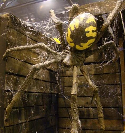Theme Halloween Halloween Yard Creepy Halloween Halloween Spider