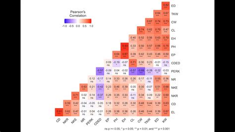 Pearson S Correlation Matrix With P Values In R YouTube